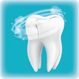 Teeth Cleaning
